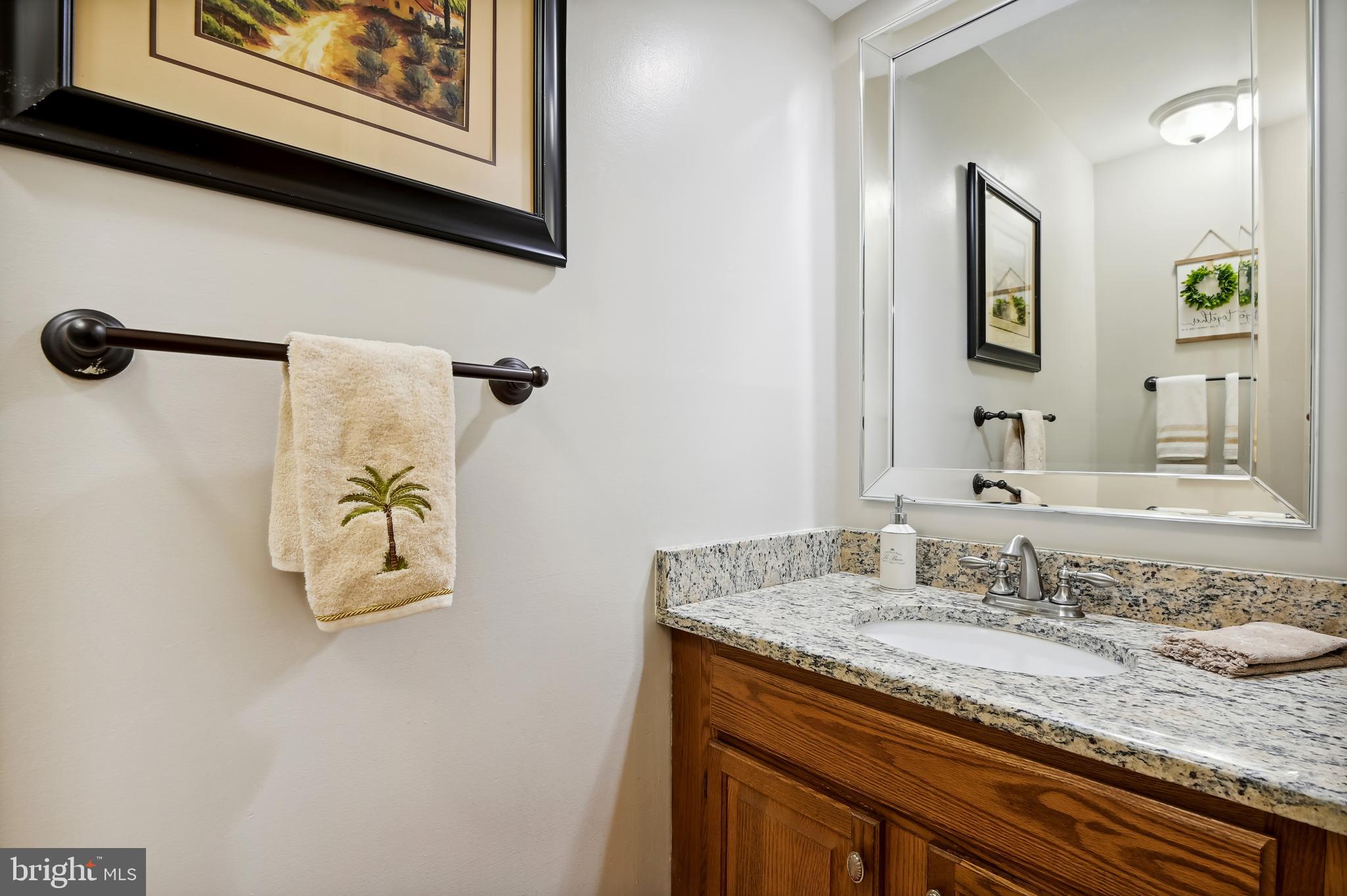 295 Locust Ridge Lane Arnold, MD 21012 - Photo 8 of 56 Remodeled Powder Room