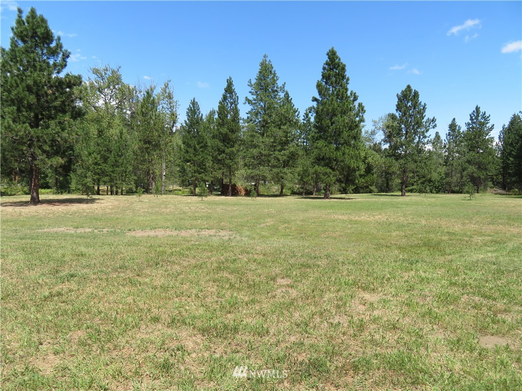 18 Casey's Ranch Road Danville, WA 99121 - Photo 17 of 19 Gallery Image 17