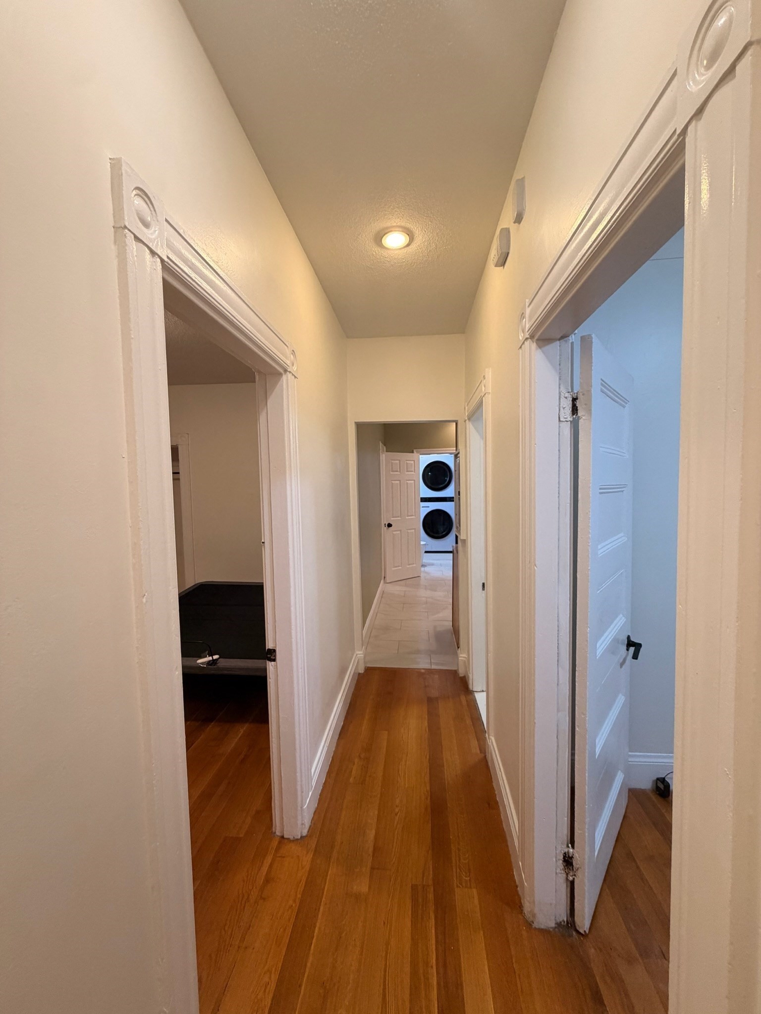 3 Spring Garden Street, Unit 3 Boston, MA 02125 - Photo 8 of 18 Gallery Image 8