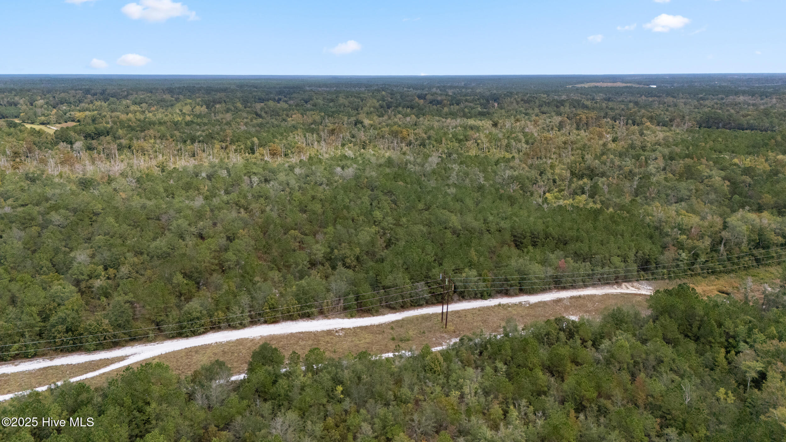 0 Green Swamp Rd Road Northwest Supply, NC 28462 - Photo 20 of 35 15_dji_20251009105943_0050_d