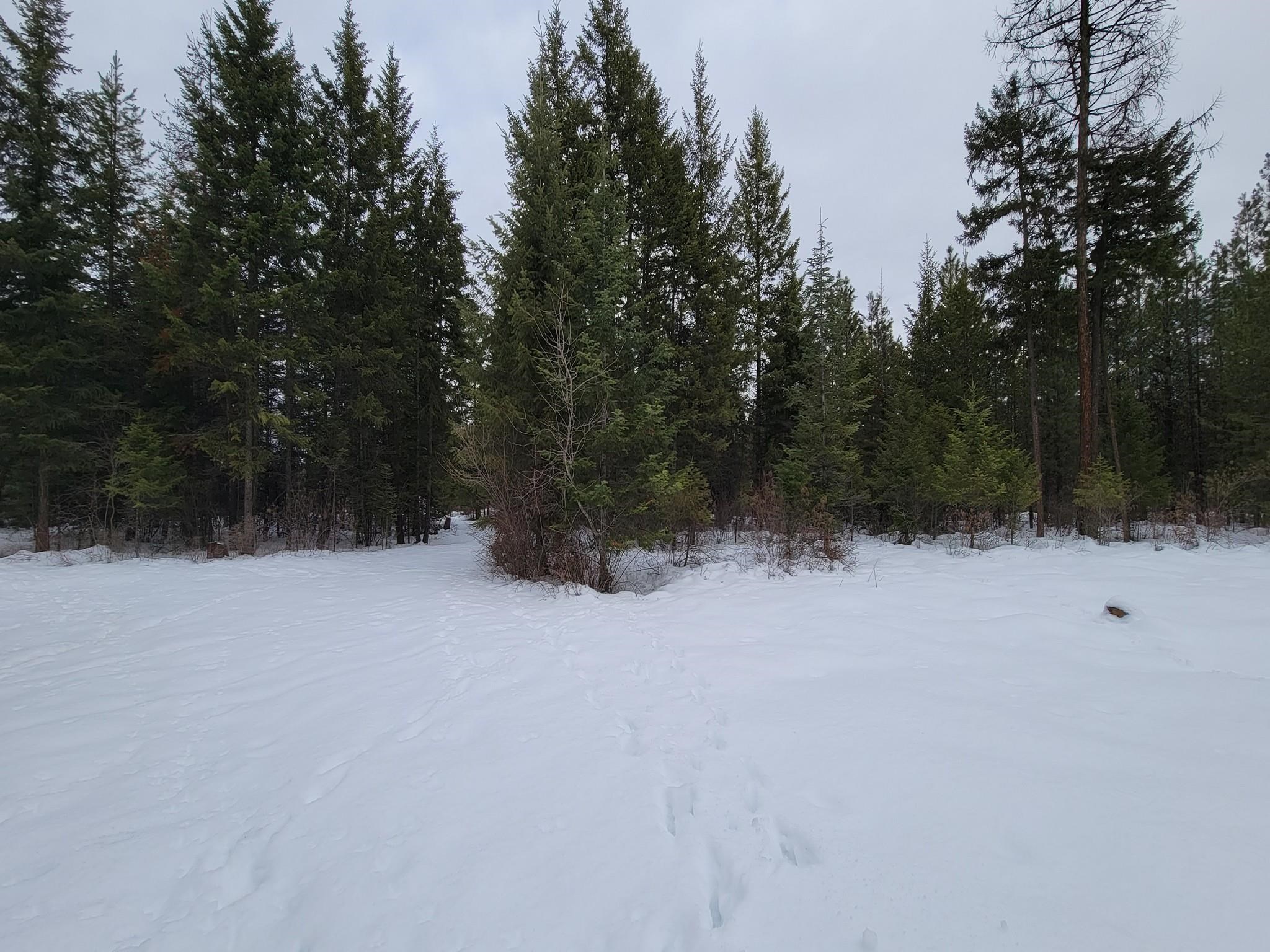 11664 LeClerc Road North, Unit LOT 1 Cusick, WA 99119 - Photo 26 of 26