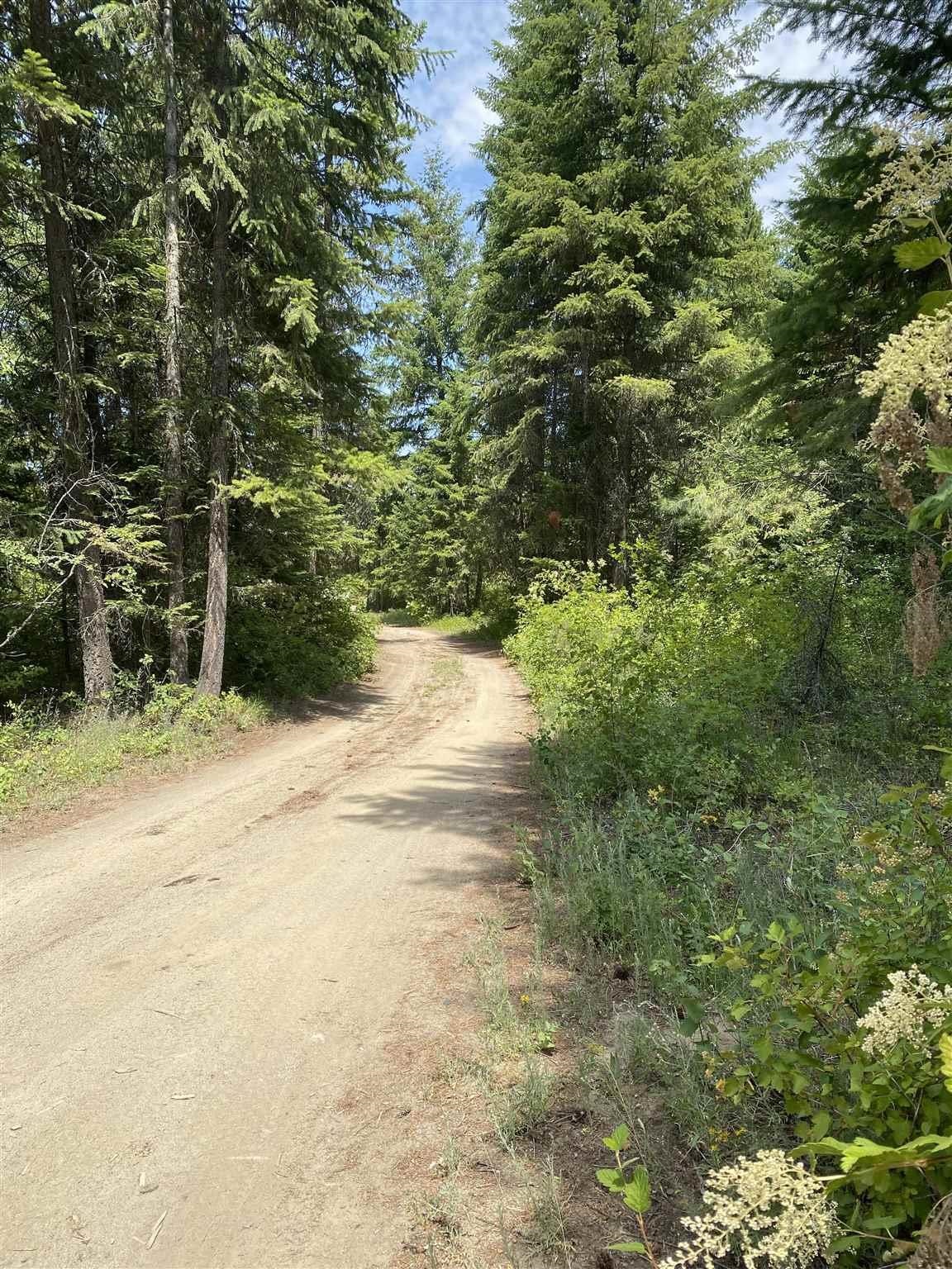 11664 LeClerc Road North, Unit LOT 1 Cusick, WA 99119 - Photo 9 of 26