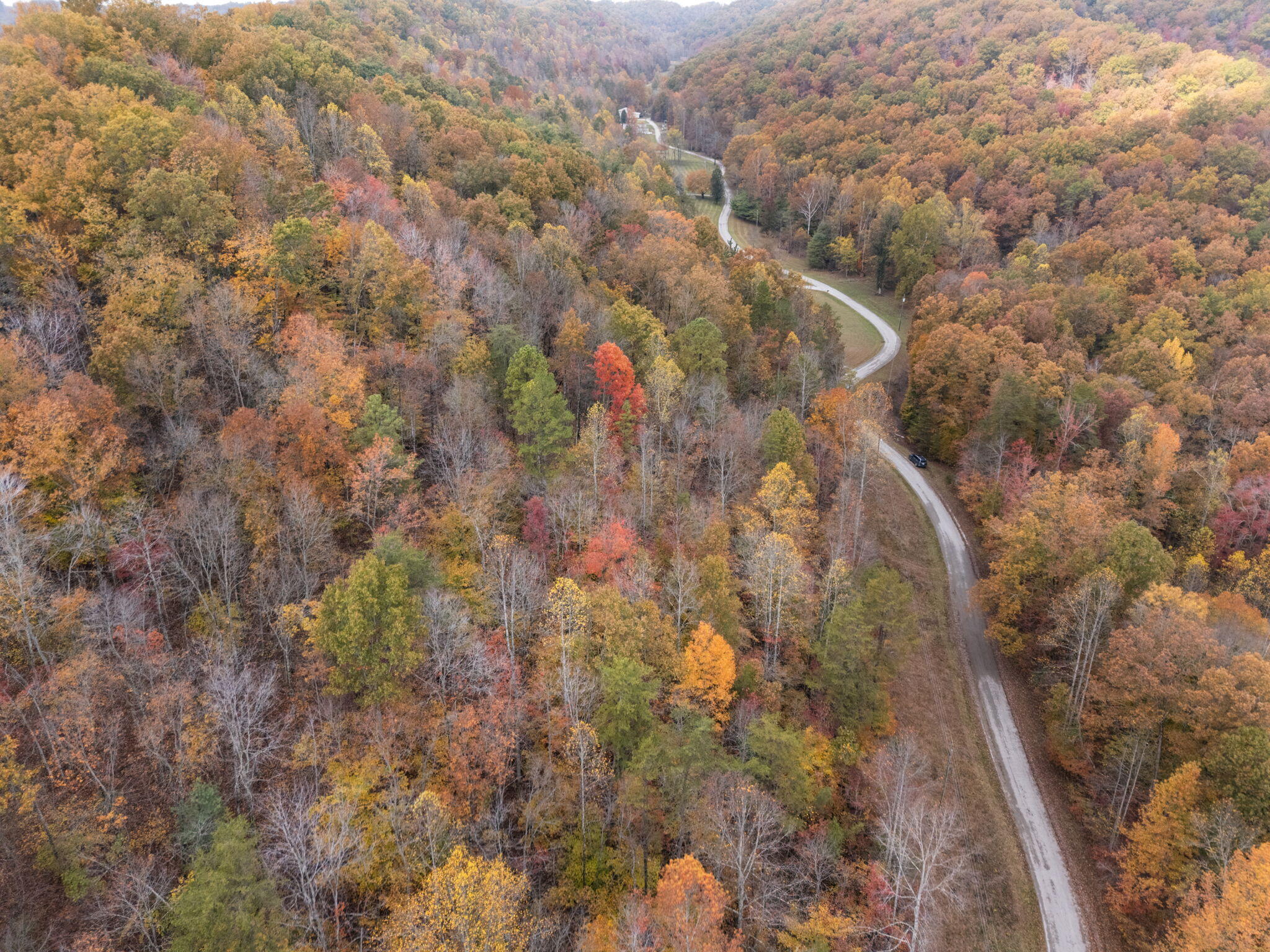 0 Wild Ridge Road Morehead, KY 40351 - Photo 12 of 30 12-web-or-mls-DJI_20251031141144_0084_D