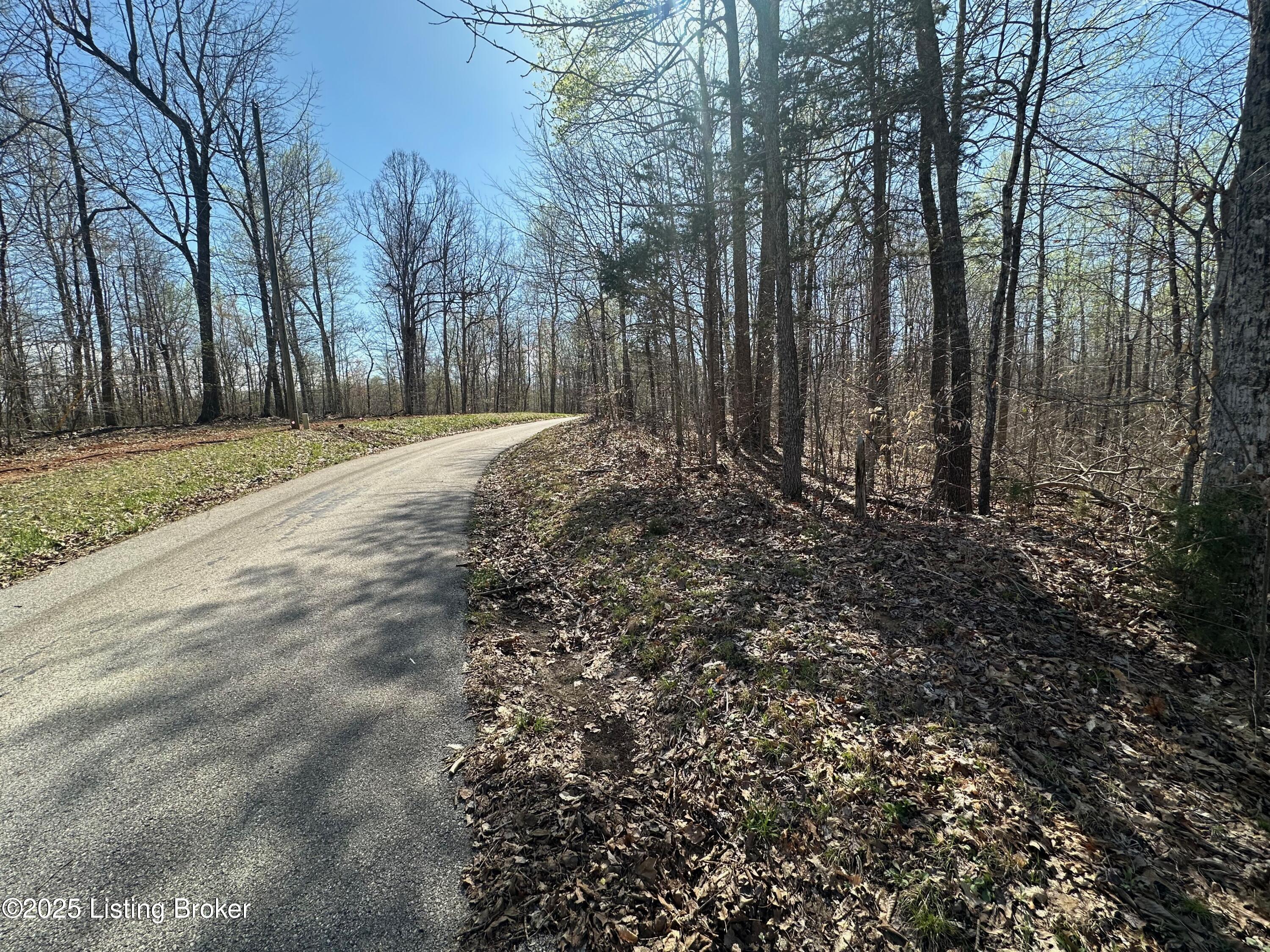 647 Pickerell Road Buffalo, KY 42716 - Photo 5 of 9 IMG_1789