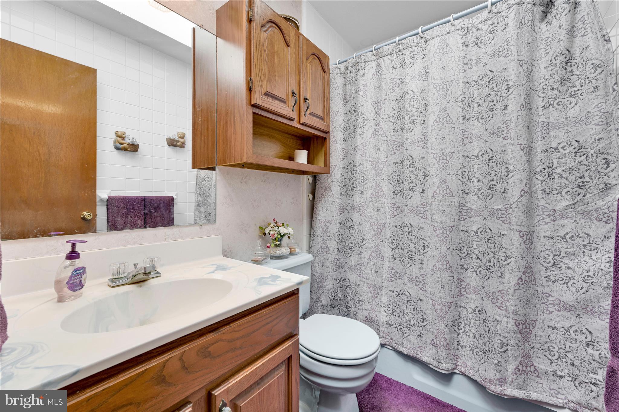 649 Stone Hill Road Shoemakersville, PA 19555 - Photo 25 of 43 a bathroom with a sink a toilet and a mirror