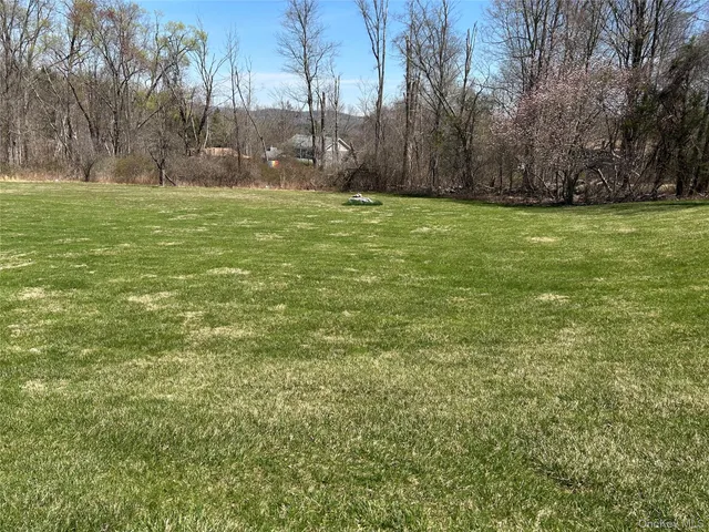a view of a field with trees in the background