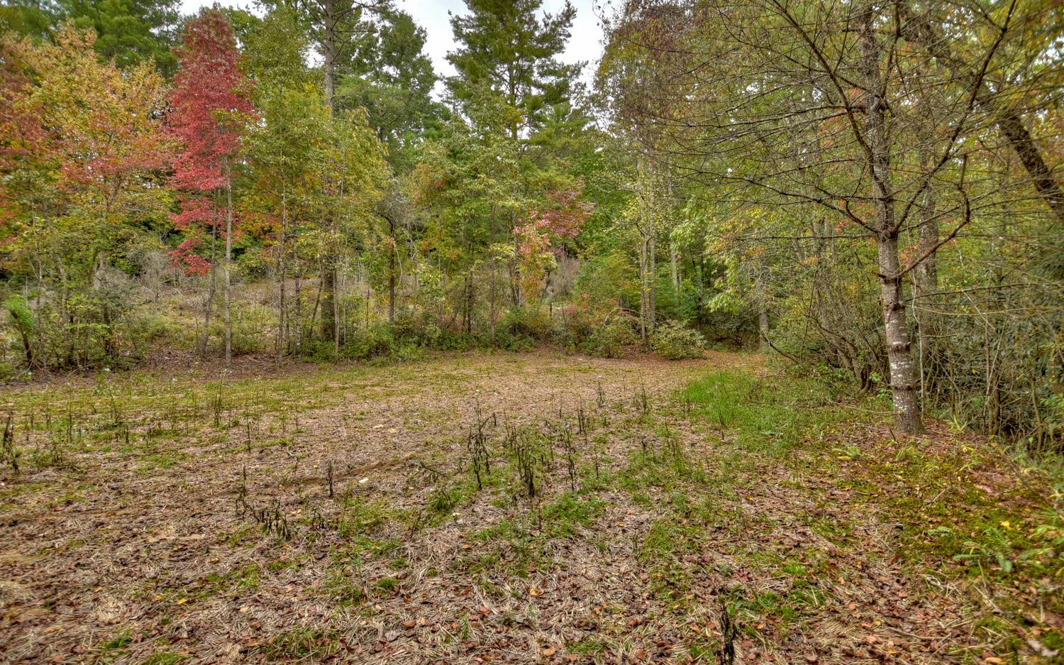 70 Little Bear Lane Blue Ridge, GA 30513 - Photo 33 of 38 Additional View