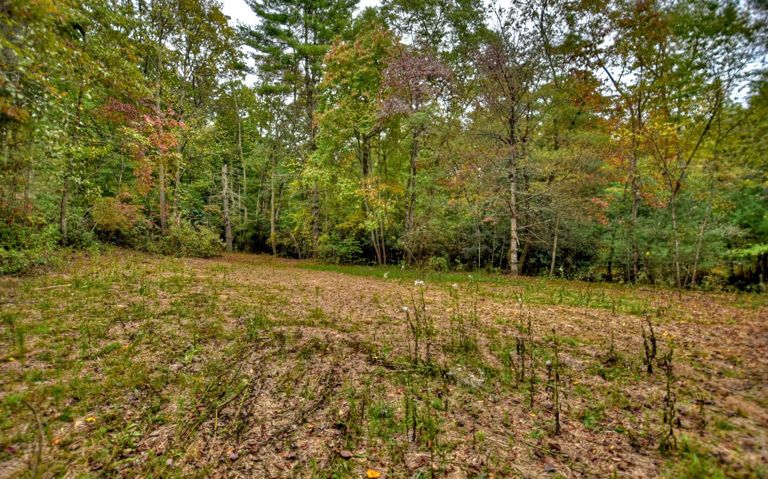 70 Little Bear Lane Blue Ridge, GA 30513 - Photo 34 of 38 Additional View