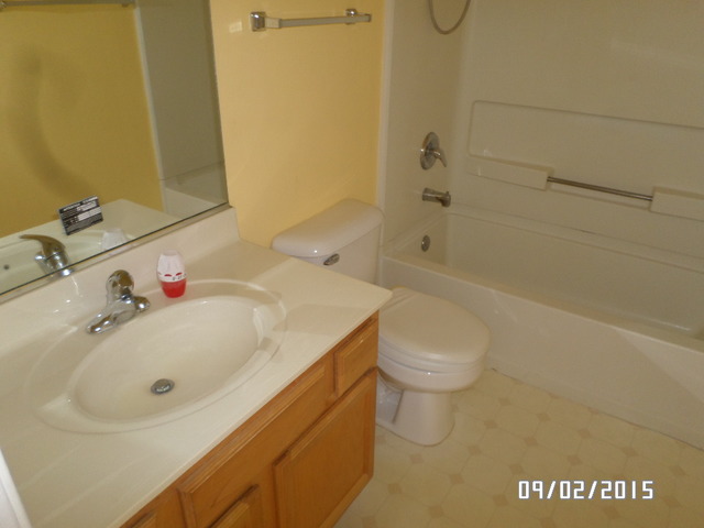 555 Willow Way Lindenhurst, IL 60046 - Photo 10 of 12 a bathroom with a sink a toilet and shower