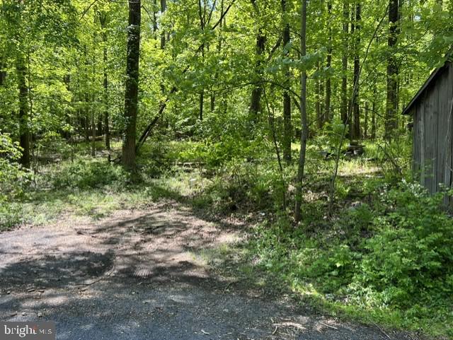 21410 Swope Road Boonsboro, MD 21713 - Photo 2 of 7 a view of a yard with plants and large trees