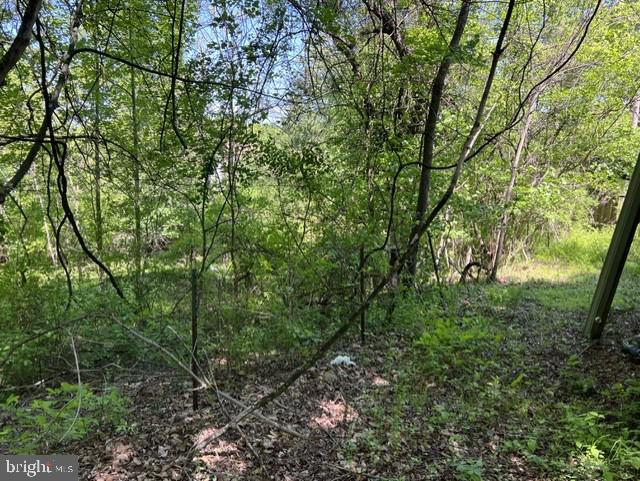 21410 Swope Road Boonsboro, MD 21713 - Photo 4 of 7 a view of a forest with lots of trees
