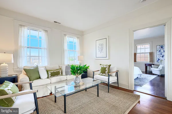 a living room with furniture potted plant and a mirror