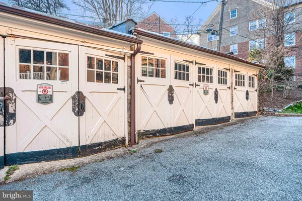 a view of a forest with trees in the background