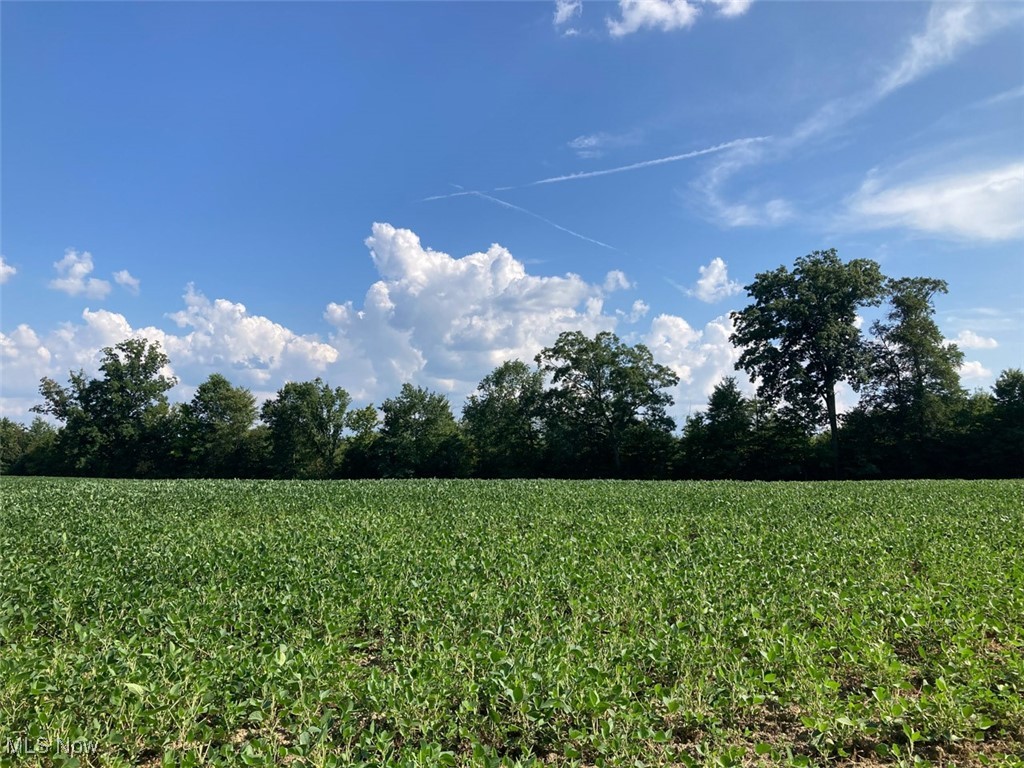 225 St Route Diamond, OH 44412 - Photo 16 of 21 View of nature with rows of crops and rural landscape
