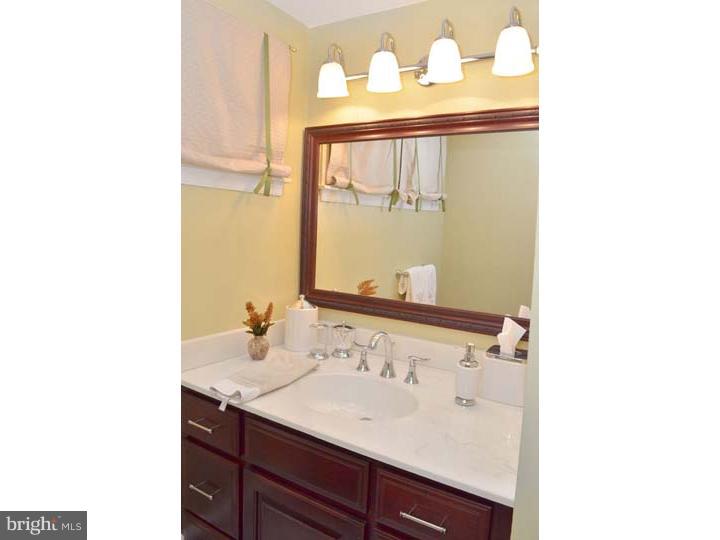 6 Braxton Road Rosemont, PA 19010 - Photo 14 of 22 Bathroom