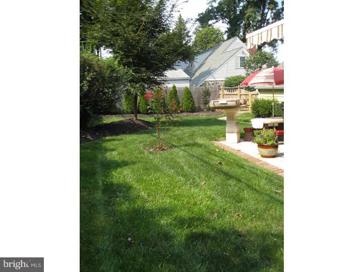 6 Braxton Road Rosemont, PA 19010 - Photo 22 of 22 Back Yard