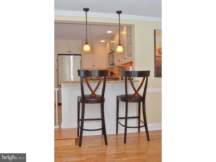 6 Braxton Road Rosemont, PA 19010 - Photo 9 of 22 Kitchen