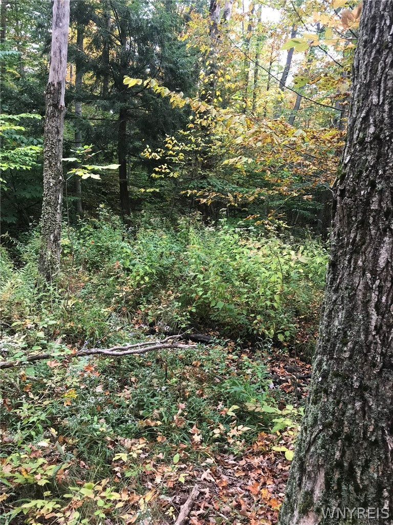 3436 Dunham Road Orangeville, NY 14569 - Photo 8 of 29