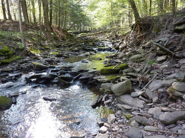 Lot 2 Layton Road Equinunk, PA 18417 - Photo 4 of 17