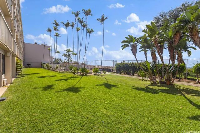 a view of a park with a tree