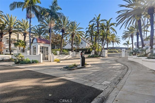 a view of road with palm trees