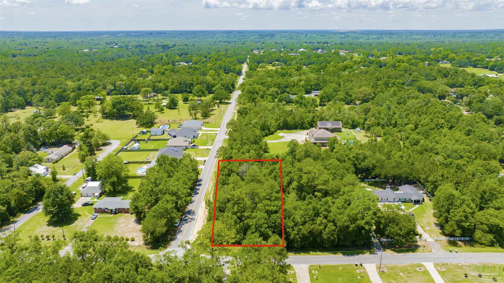 3195 Stefani Road Cantonment, FL 32533 - Photo 8 of 10 a view of a large yard with plants and large trees