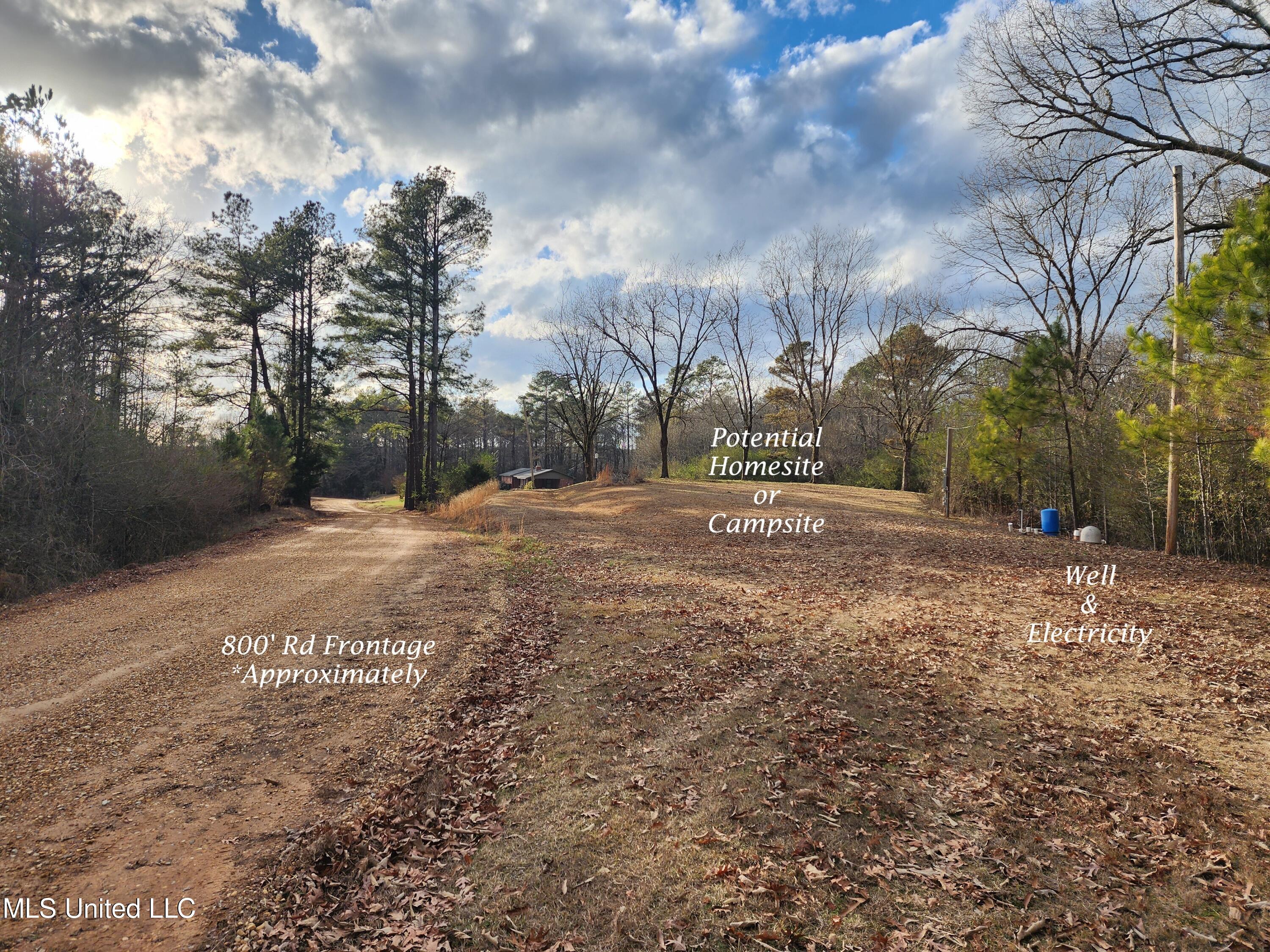 830 Holbrook Road Ashland, MS 38603 - Photo 11 of 44 Potential