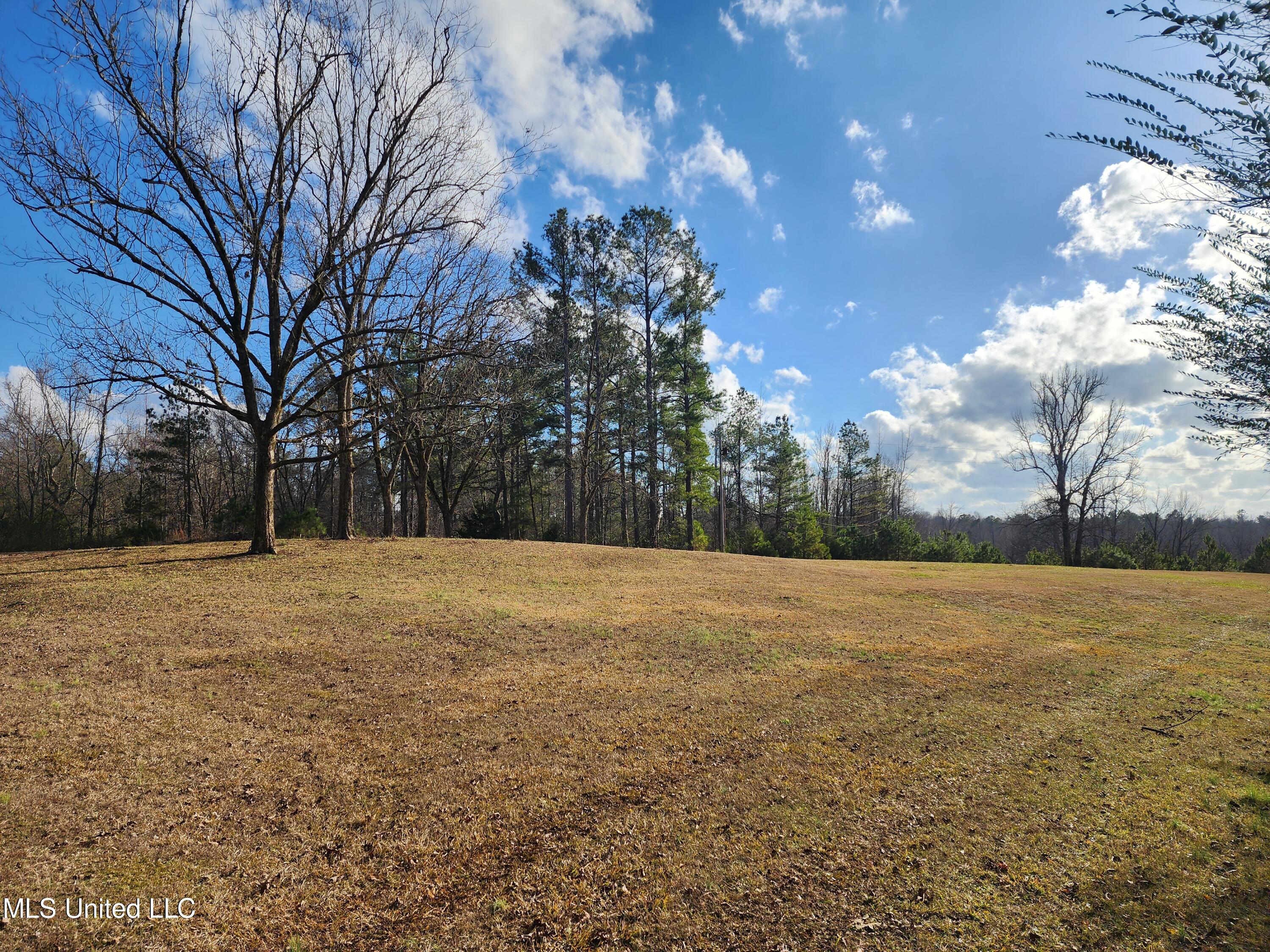 830 Holbrook Road Ashland, MS 38603 - Photo 27 of 44 14