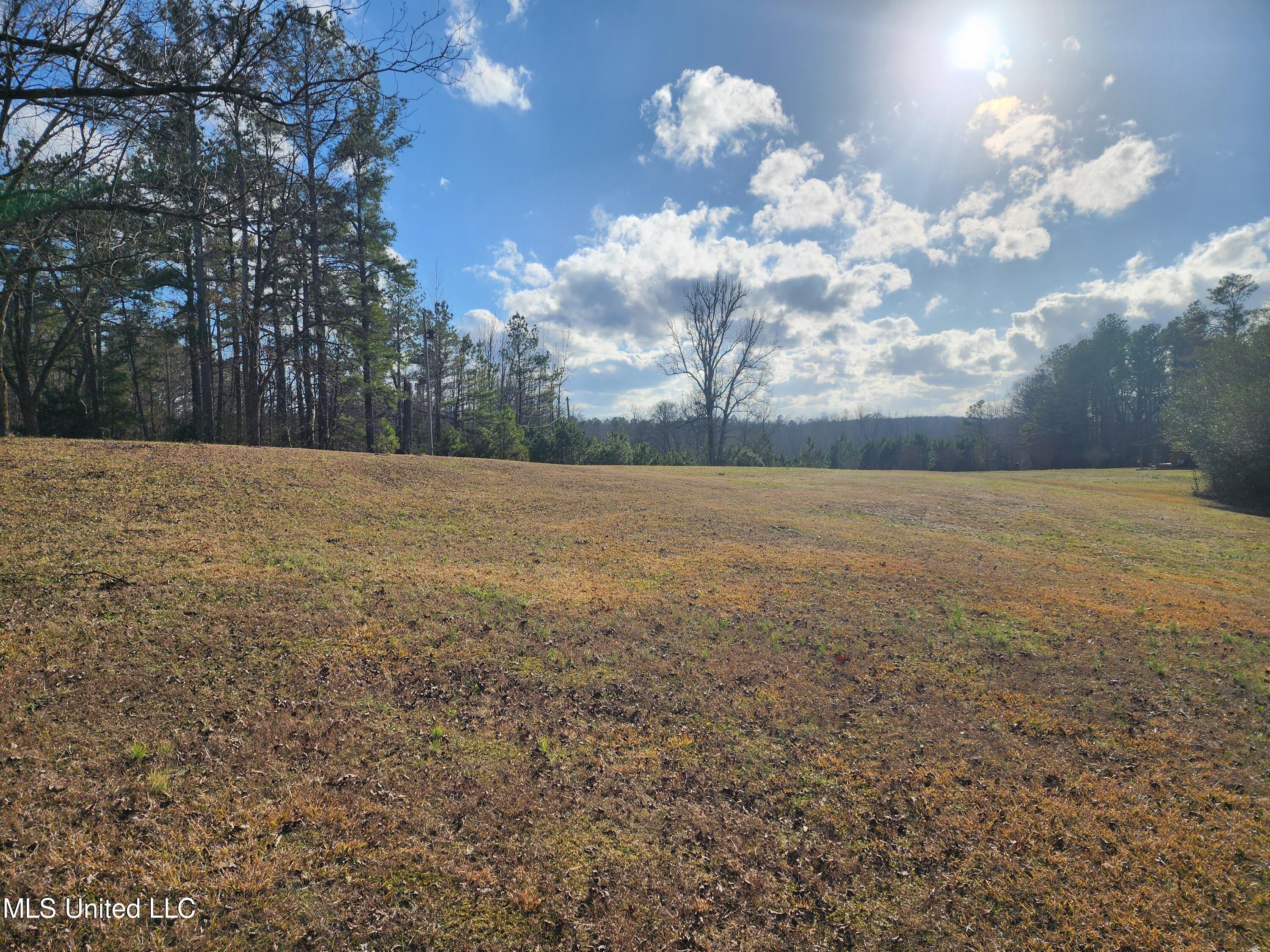830 Holbrook Road Ashland, MS 38603 - Photo 28 of 44 13