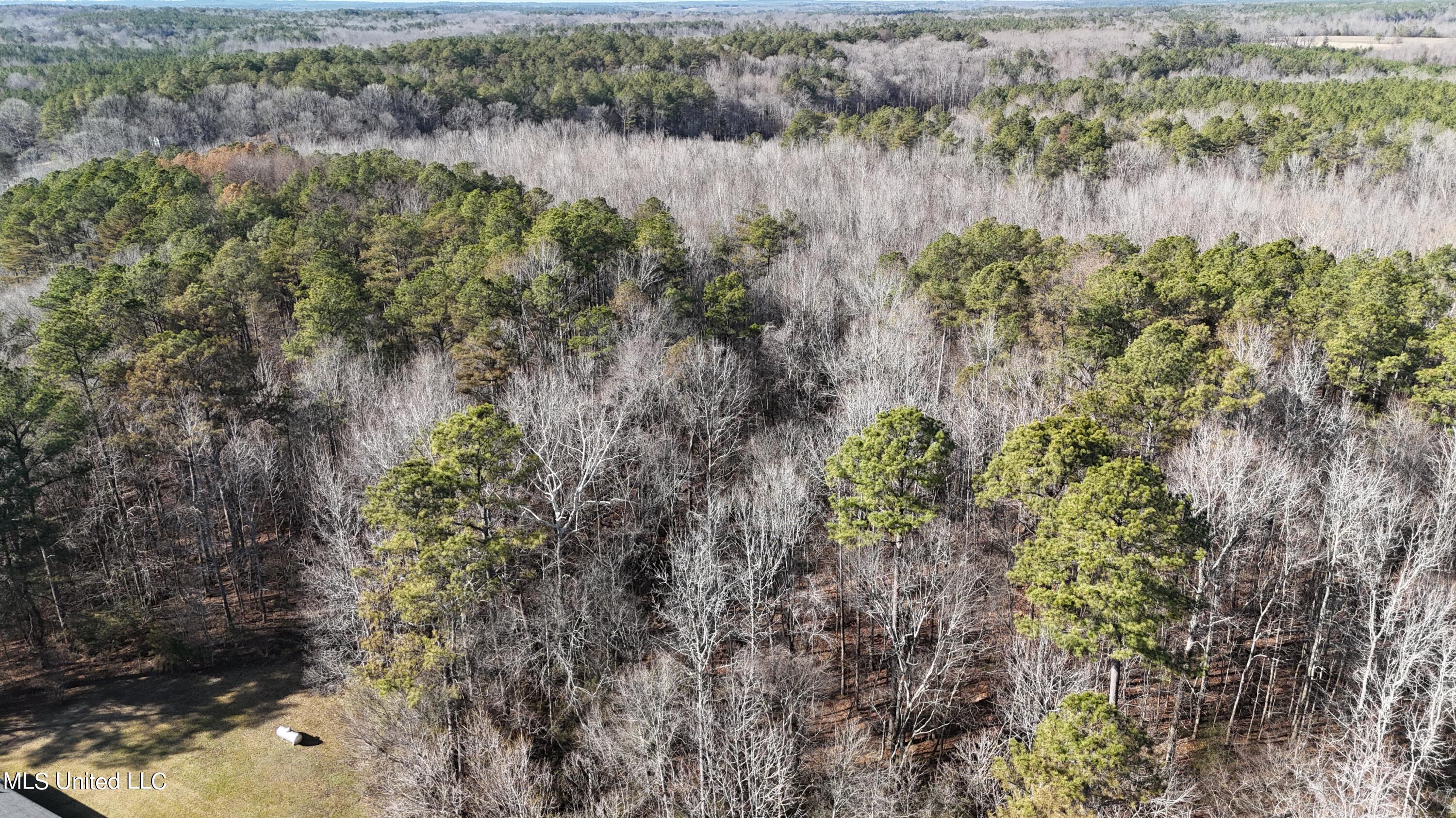 830 Holbrook Road Ashland, MS 38603 - Photo 34 of 44 DJI_20240111133643_0010_D