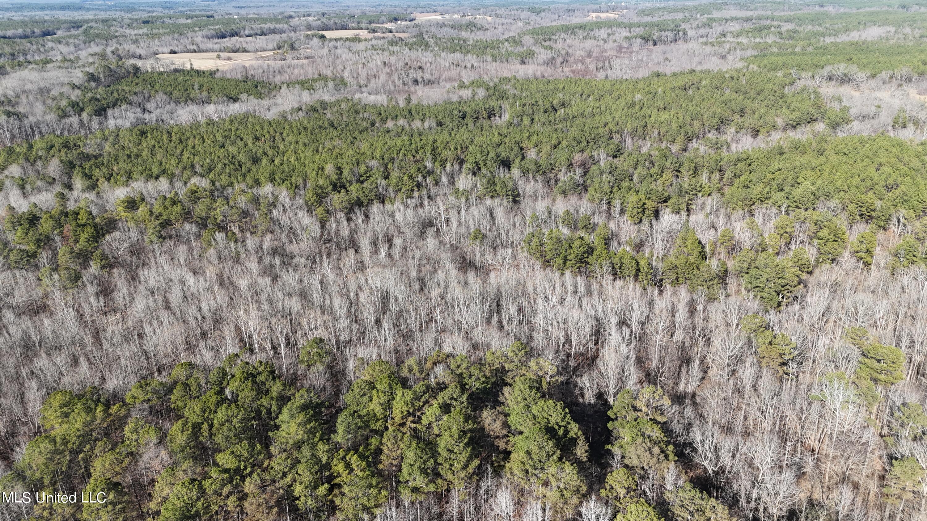 830 Holbrook Road Ashland, MS 38603 - Photo 37 of 44 DJI_20240111133854_0015_D