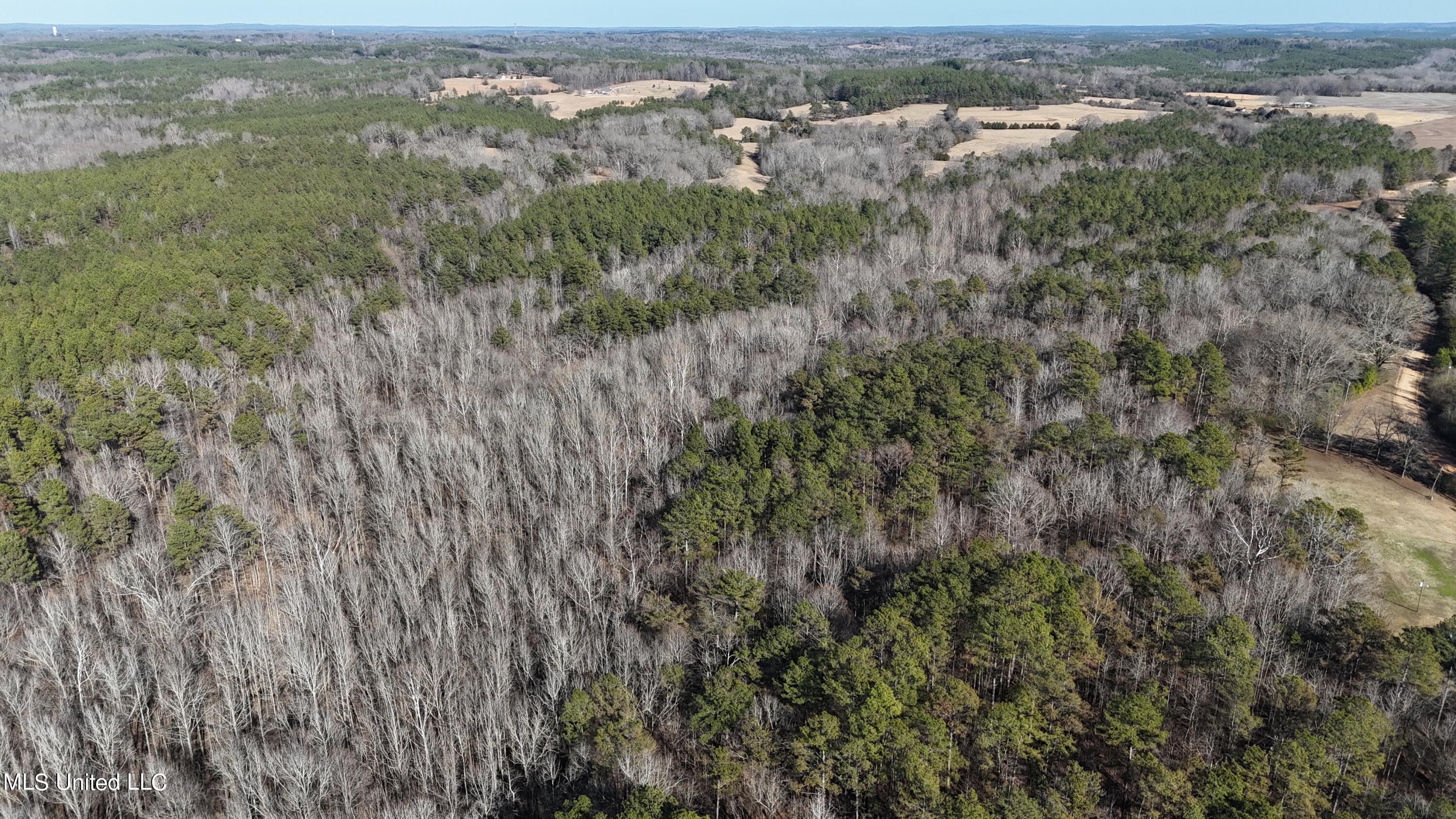 830 Holbrook Road Ashland, MS 38603 - Photo 38 of 44 DJI_20240111135116_0049_D