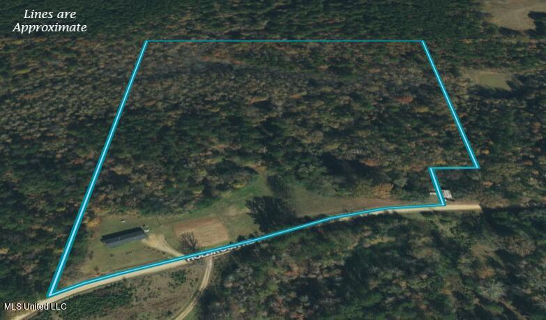 830 Holbrook Road Ashland, MS 38603 - Photo 4 of 44 p4