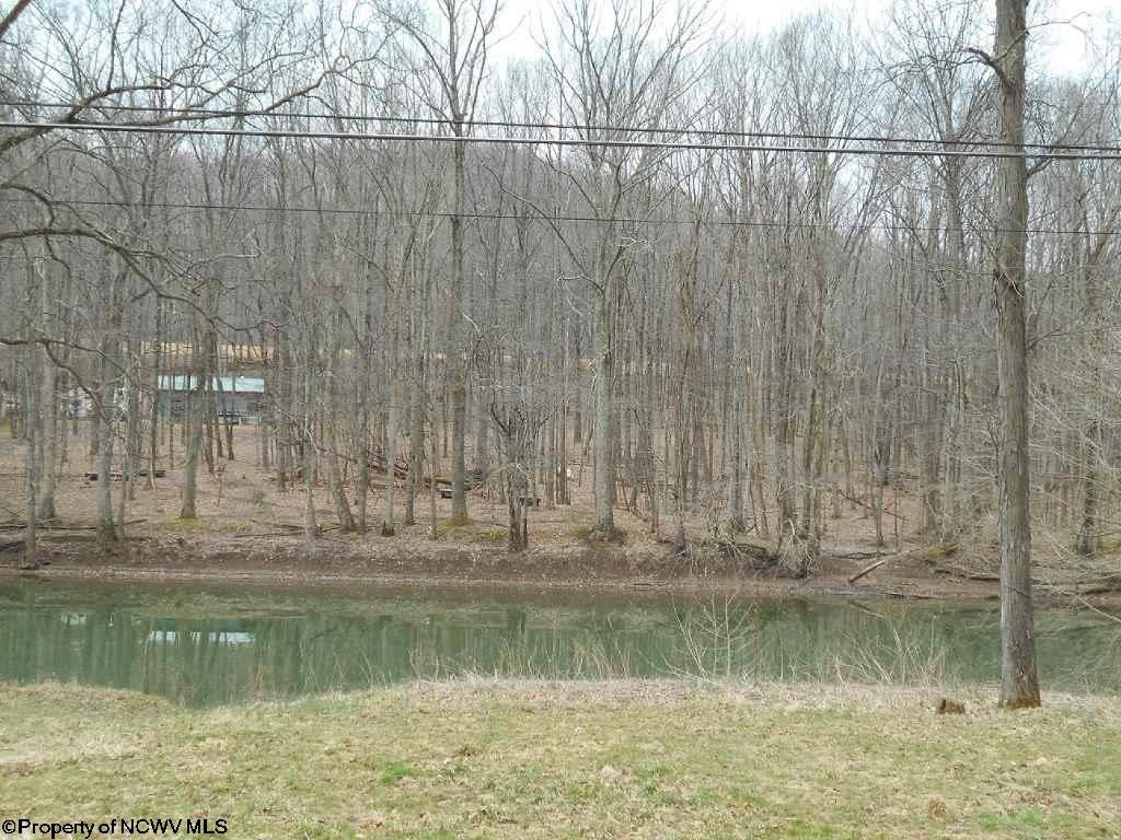 1916 Georgetown Road Elkins, WV 26241 - Photo 15 of 16 Gallery Image 15