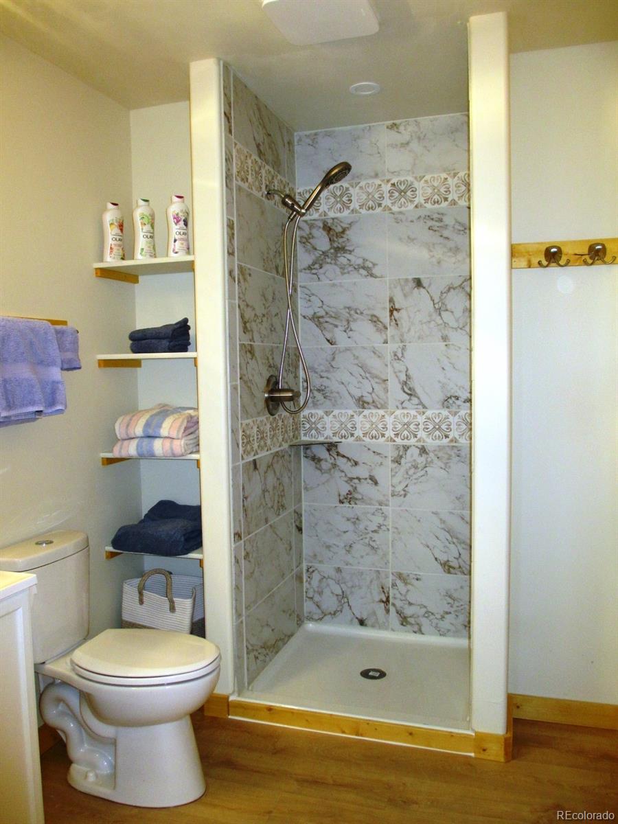 256 Blueberry Drive Bailey, CO 80421 - Photo 40 of 49 a bathroom with a toilet and a shower