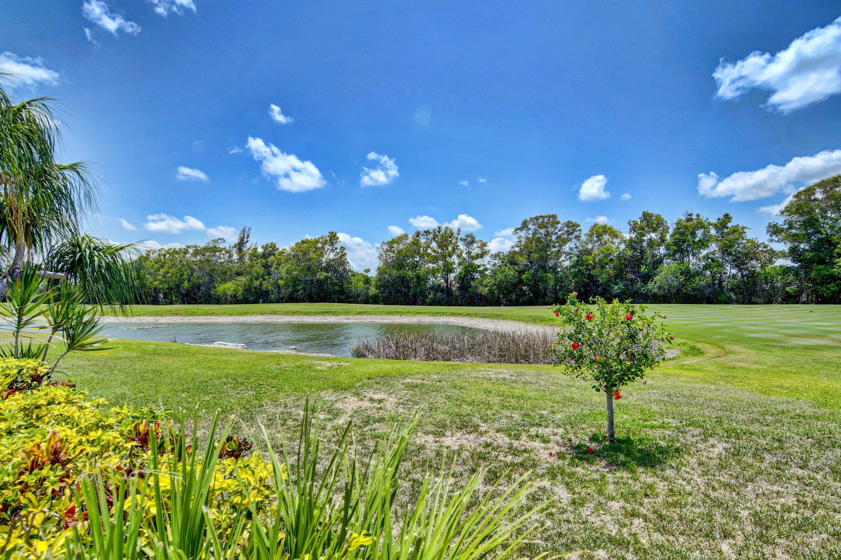 11132 Cloverleaf Circle Boca Raton, FL 33428 - Photo 41 of 65 63_dsc_4641_2_3_4_5