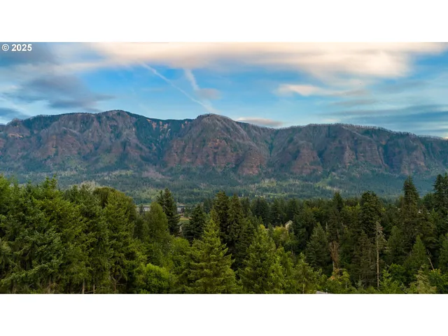 a black and white photo of a house