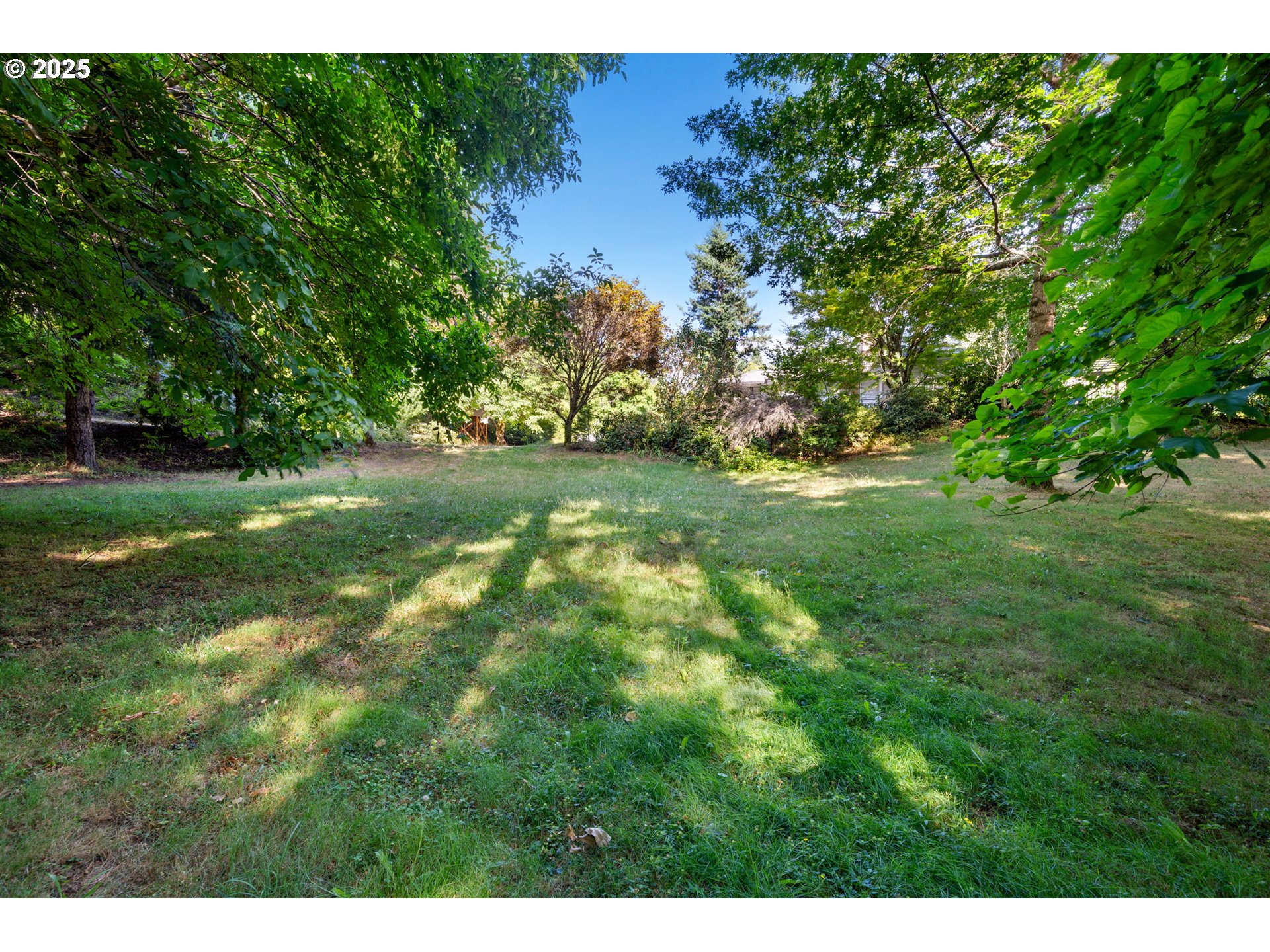 402 Skelton Road Stevenson, WA 98648 - Photo 37 of 48 a view of a big yard with plants and large tree