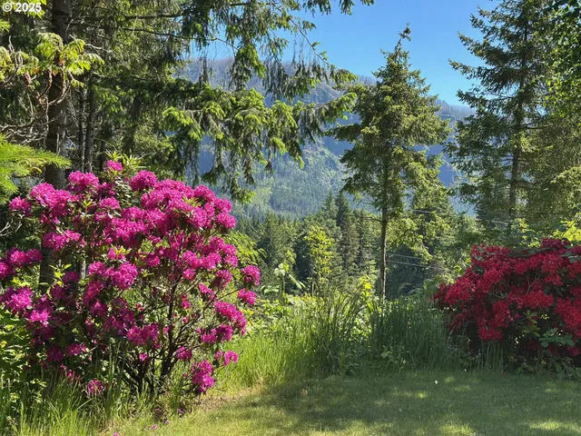 a bathroom with a sink mirror and vanity