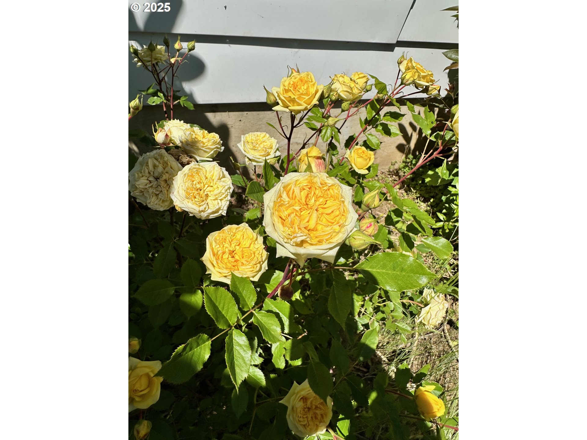 402 Skelton Road Stevenson, WA 98648 - Photo 39 of 48 a bathroom with a sink mirror and vanity