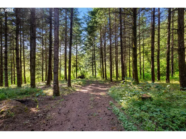 a backyard of a house