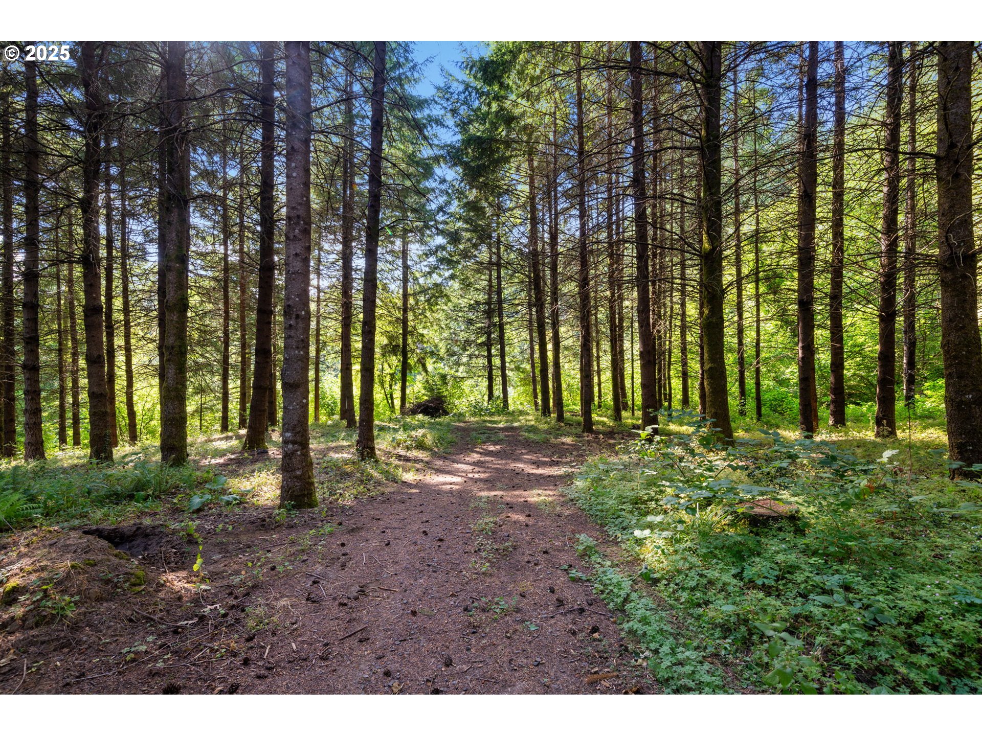 402 Skelton Road Stevenson, WA 98648 - Photo 40 of 48 a view of outdoor space with deck and yard