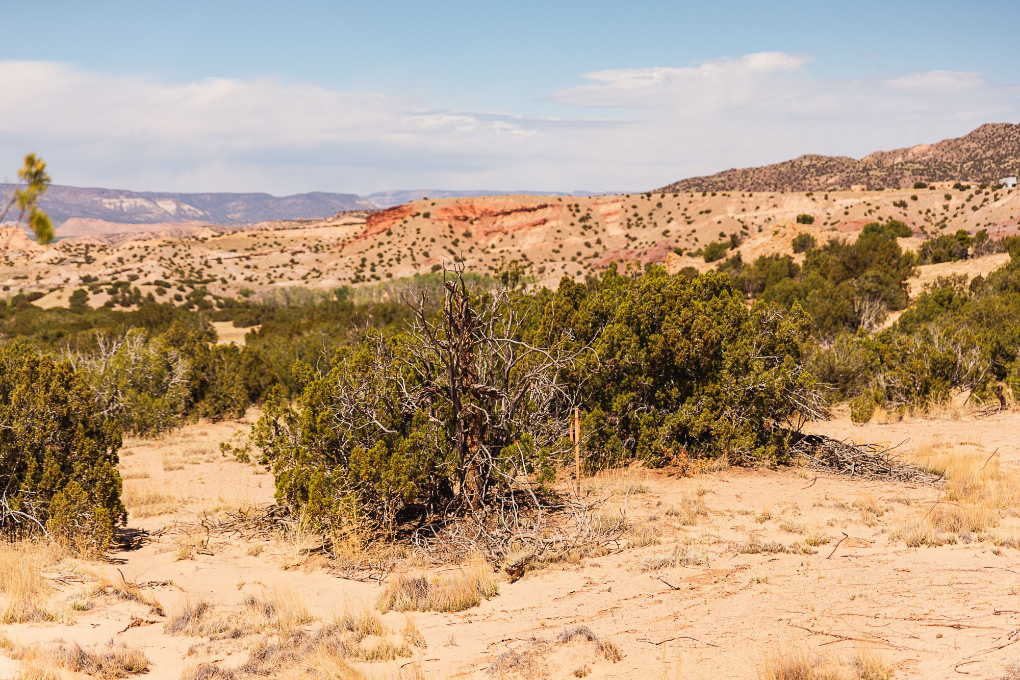 0 El Rito Estates Abiquiu, NM 87510 - Photo 54 of 56