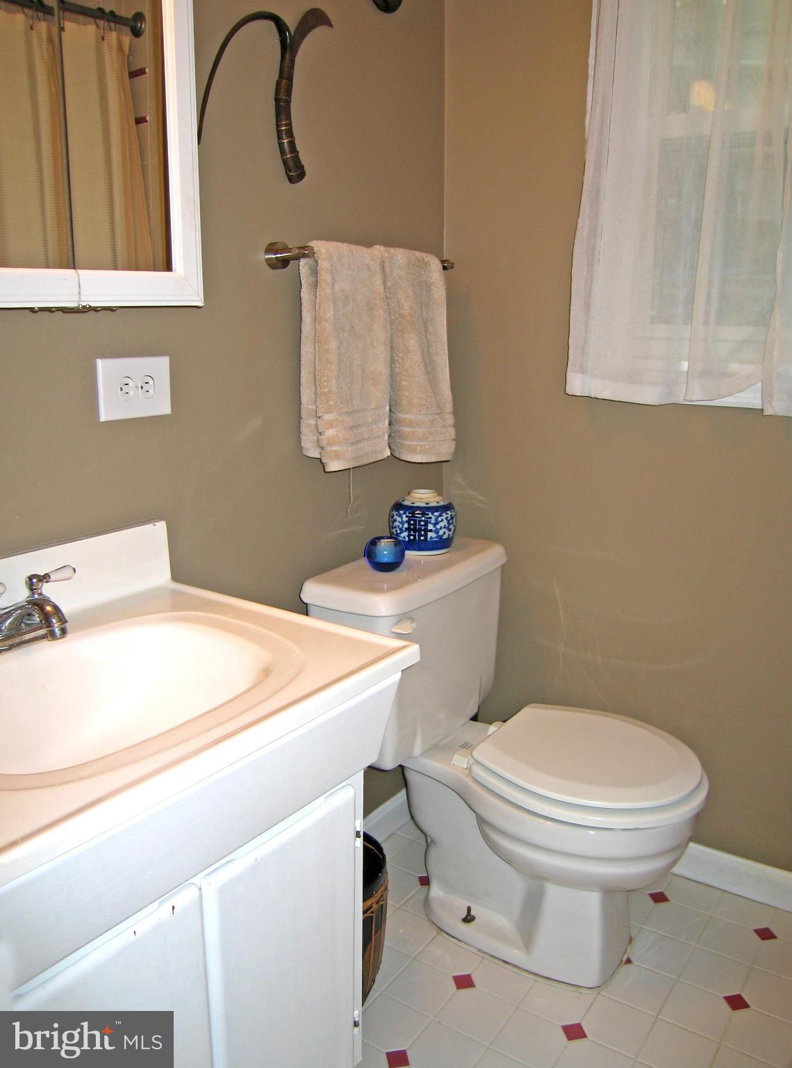 3000 Russell Road Alexandria, VA 22305 - Photo 8 of 21 Bath (Master)
