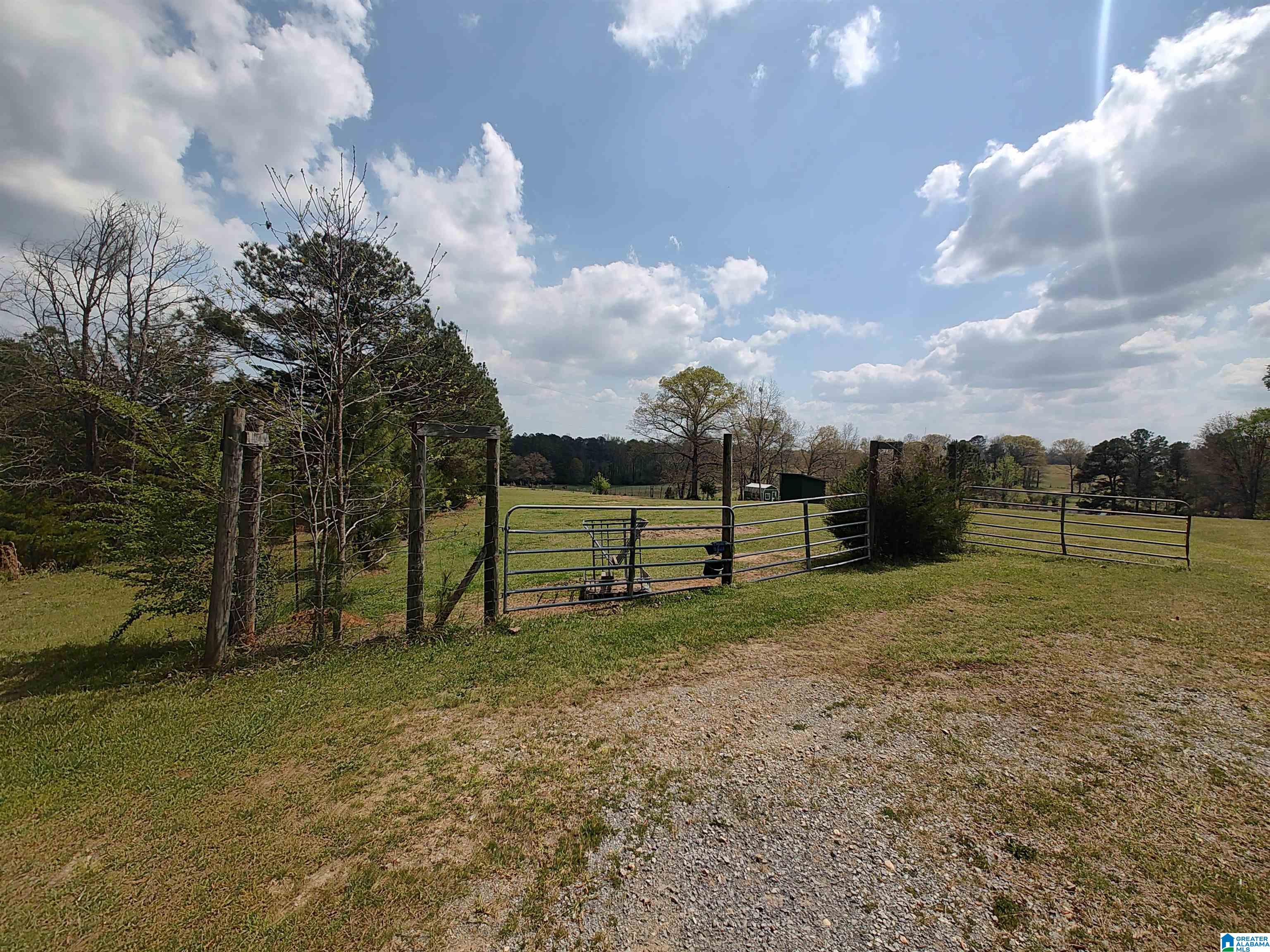 75 Mary Lee Lane Alpine, AL 35014 - Photo 8 of 77