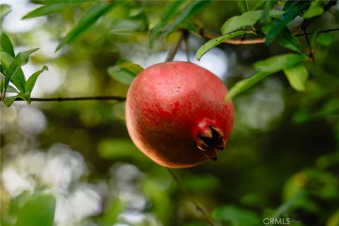 $4,088,000 | 151 East Longden Avenue, Arcadia, CA 91006