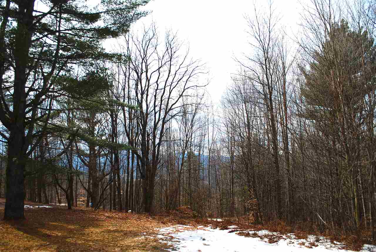 124 Dean's Mountain Road Moretown, VT 05660 - Photo 4 of 32