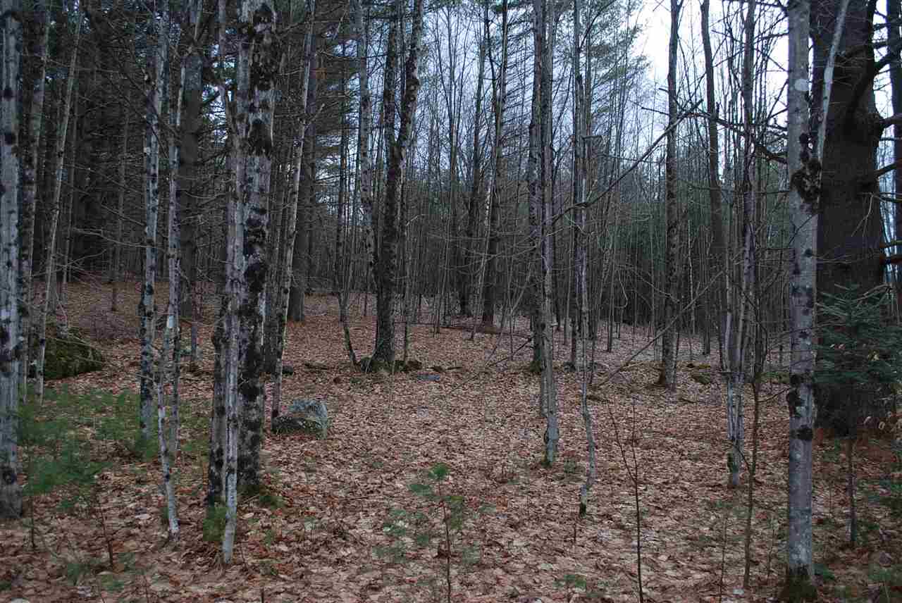 124 Dean's Mountain Road Moretown, VT 05660 - Photo 31 of 32