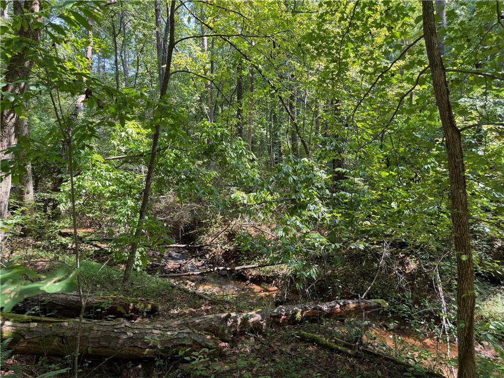 32 Mission Hill Road Ellijay, GA 30540 - Photo 1 of 13 Gallery Image 1