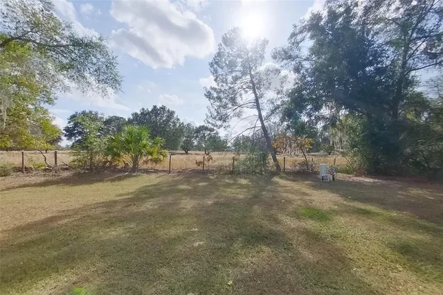 a view of a yard with tree s